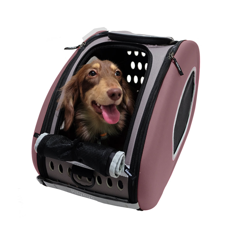 Ibiyaya EVA Convertible Pet Carrier/Wheeled Carrier