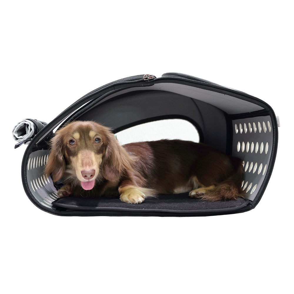 Ibiyaya EVA Convertible Pet Carrier/Wheeled Carrier
