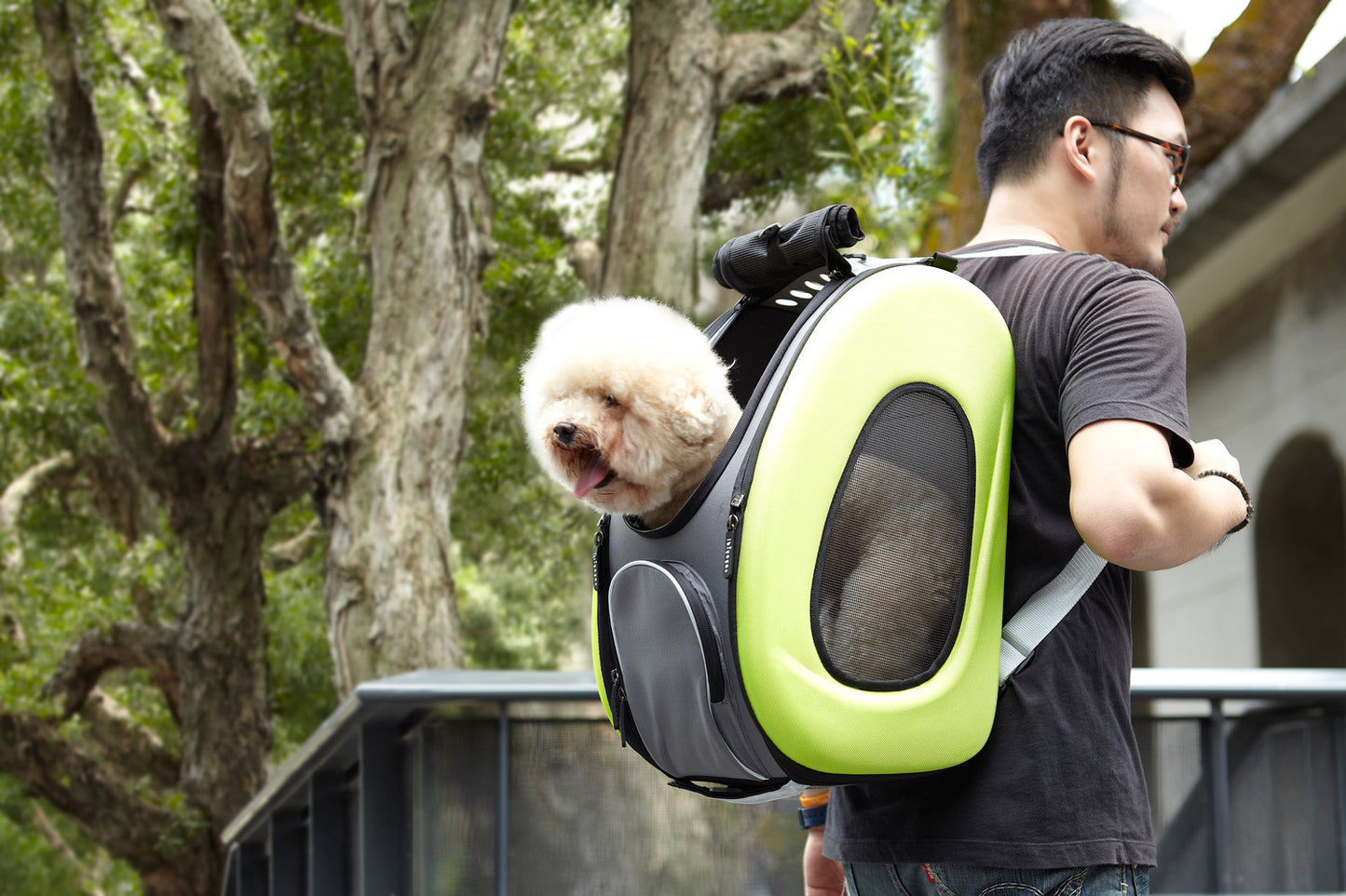 5-In-1 Combo Eva Pet Carrier/Stroller