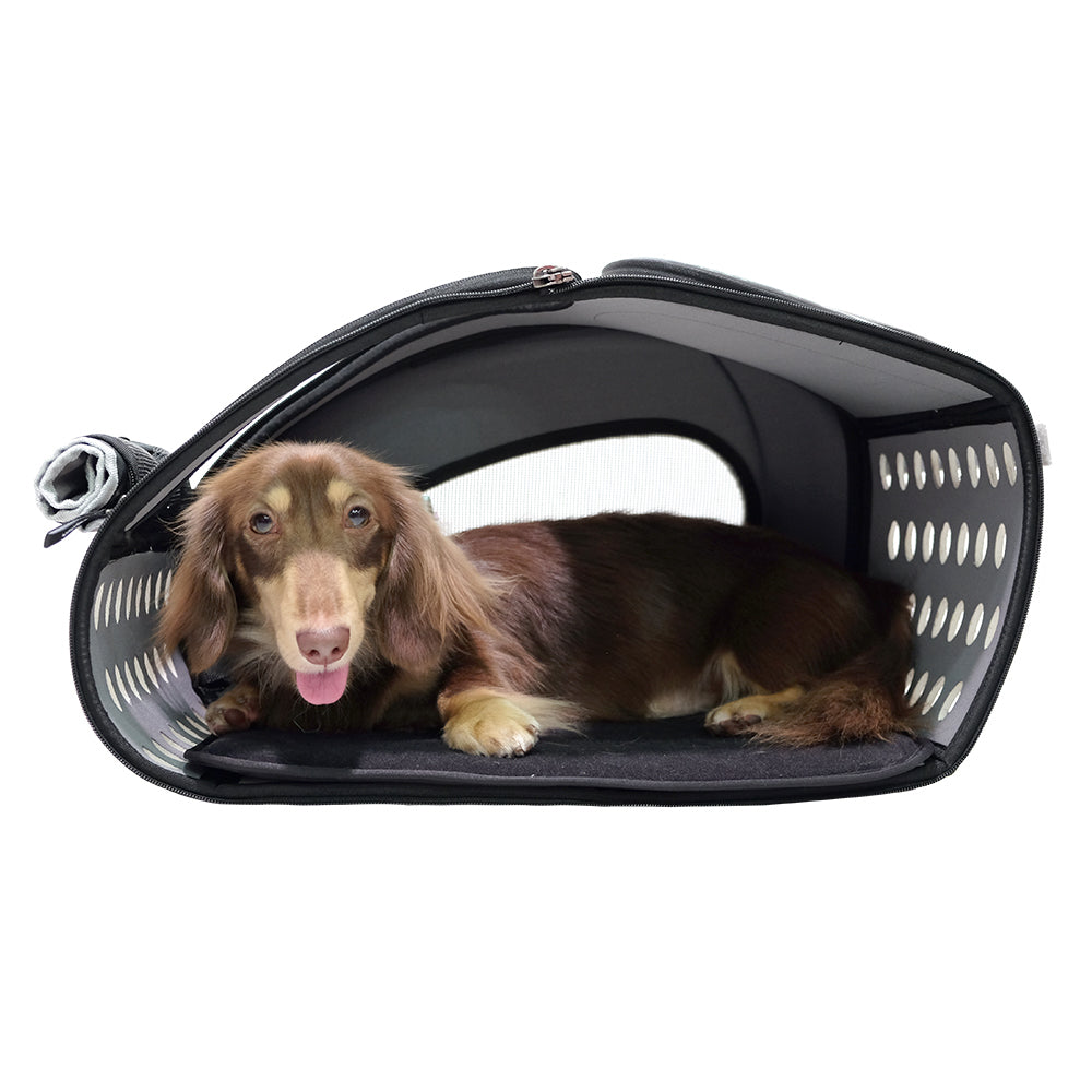 5-In-1 Combo Eva Pet Carrier/Stroller