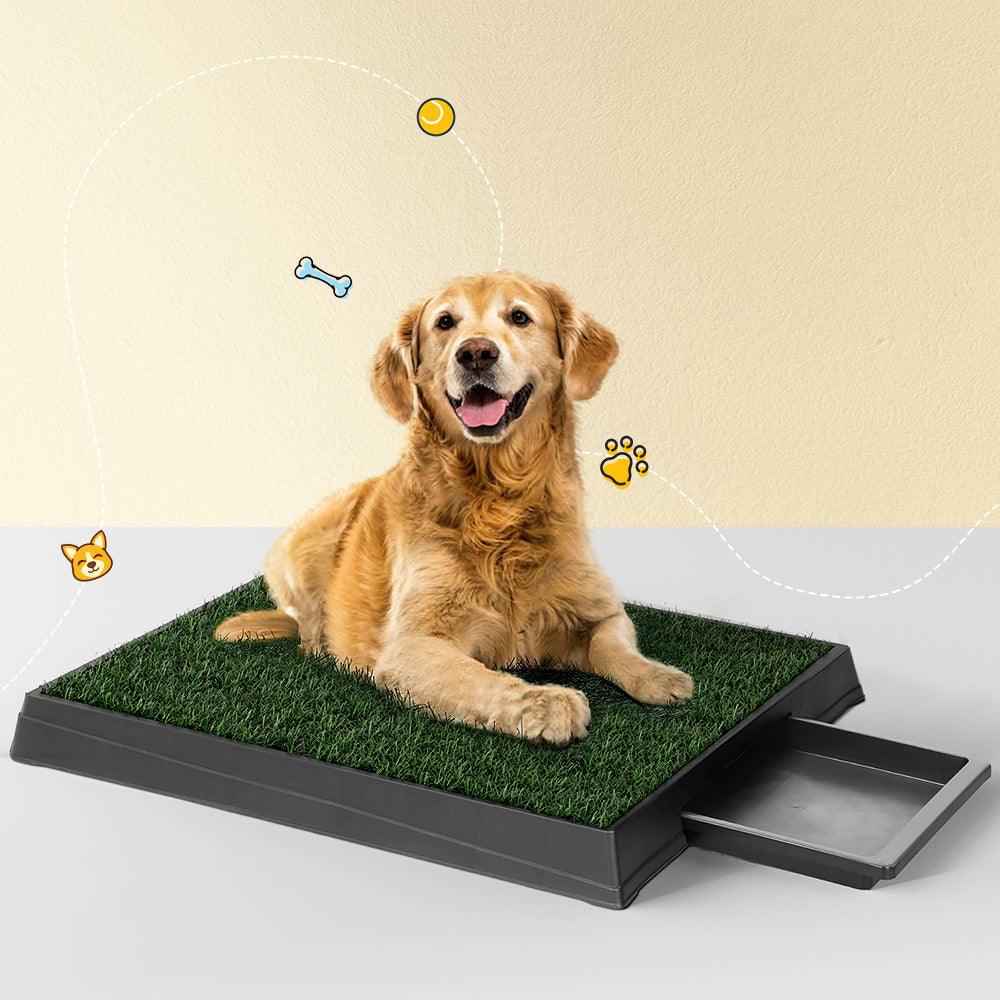 i.Pet Pet Training Pad Dog Potty Toilet Large Portable With Tray Grass 2 Mats - Mega Pet Store