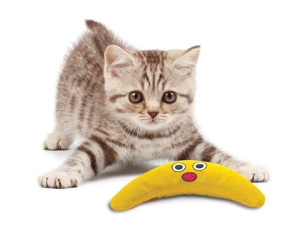 Petstages Green Magic Boomerang Buddy Cat Toy