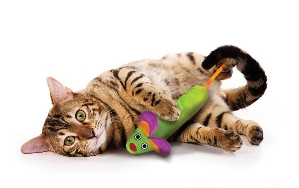 Petstages Green Magic Mightie Mouse Cat Toy