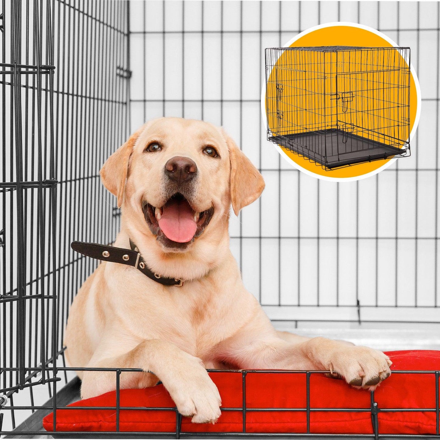 4Paws Dog Cage Pet Crate Cat Puppy Metal Cage ABS Tray Foldable Portable Black - 24" - Black - Mega Pet Store