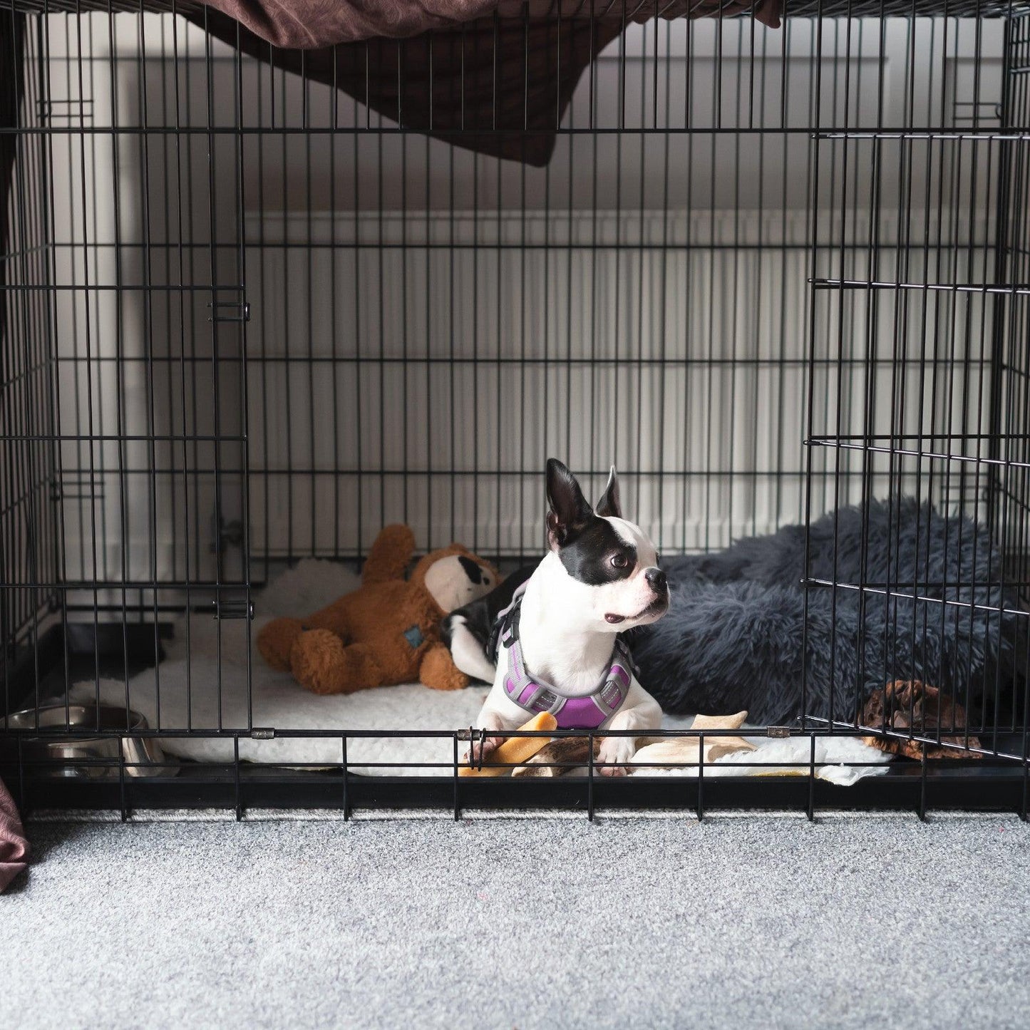 4Paws Dog Cage Pet Crate Cat Puppy Metal Cage ABS Tray Foldable Portable Black - 24" - Black - Mega Pet Store