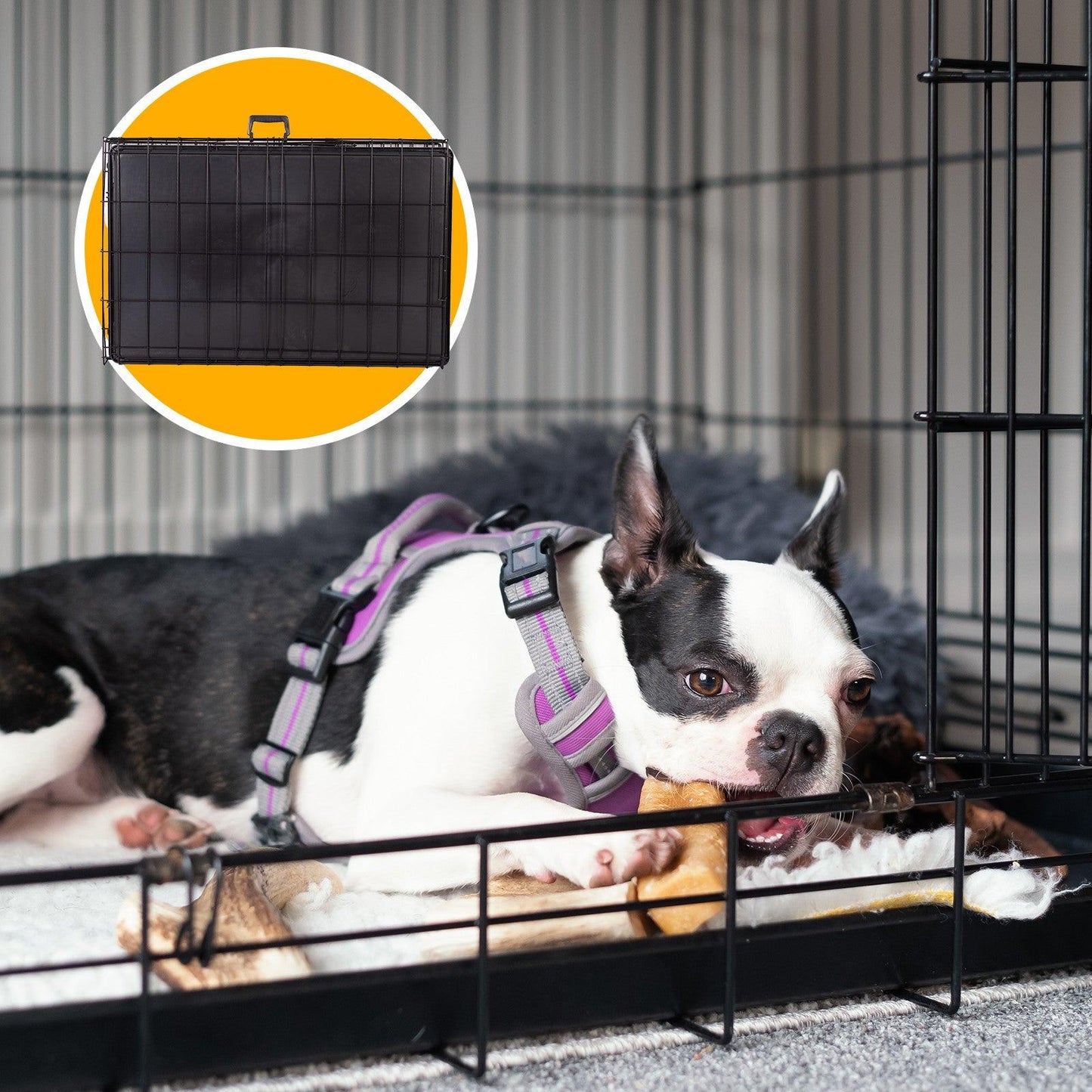 4Paws Dog Cage Pet Crate Cat Puppy Metal Cage ABS Tray Foldable Portable Black - 24" - Black - Mega Pet Store