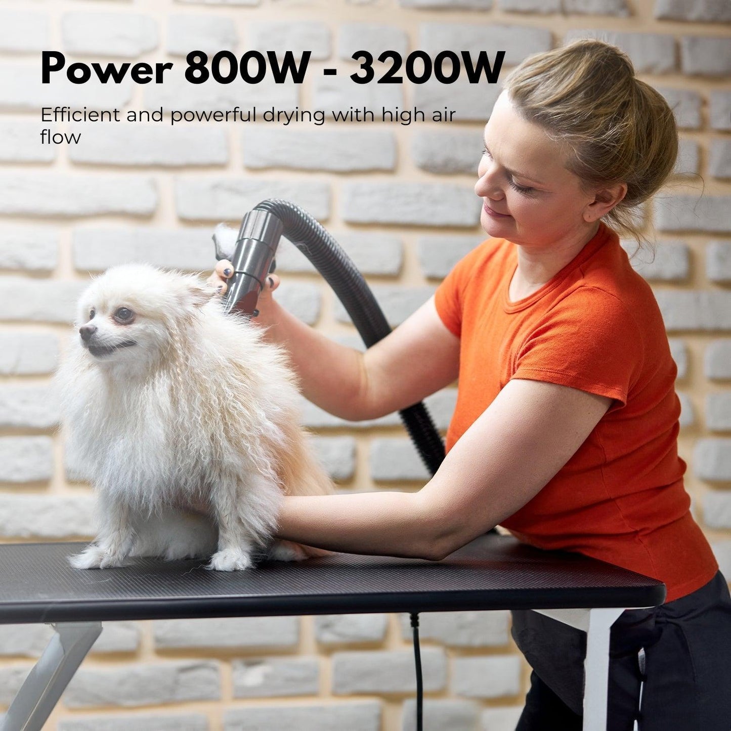 Floofi Pet Hair Dryer LCD (White) FI-PHD-113-DY - Mega Pet Store