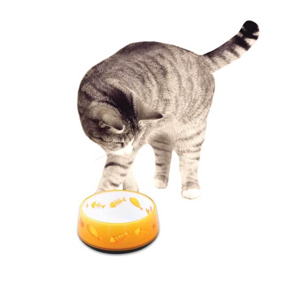 300ml Cat Bowl Orange Love - AFP Kitten Pet Food Water Feeding Anti Slip Dish - Mega Pet Store