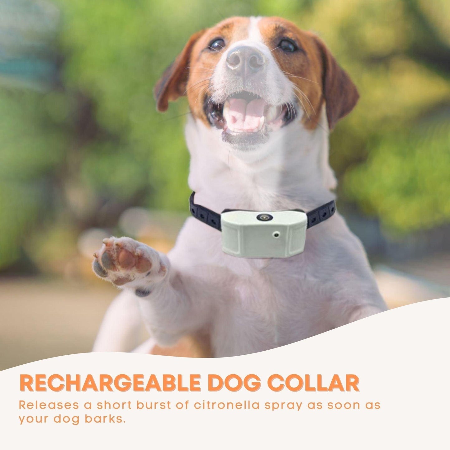 Dog Bark Collar - Citronella USB Rechargeable Mist Spray Training Device - Mega Pet Store