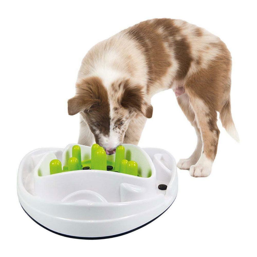 Dog Bowl Food Maze - Interactive Treat Feeder + Water Dish All For Paws Pet - Mega Pet Store