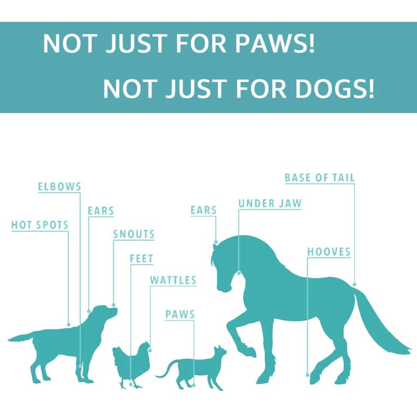 60g Pet Paw Balm - Dog or Cat Natural Organic Nose Soother Wax Ointment Cream - Mega Pet Store