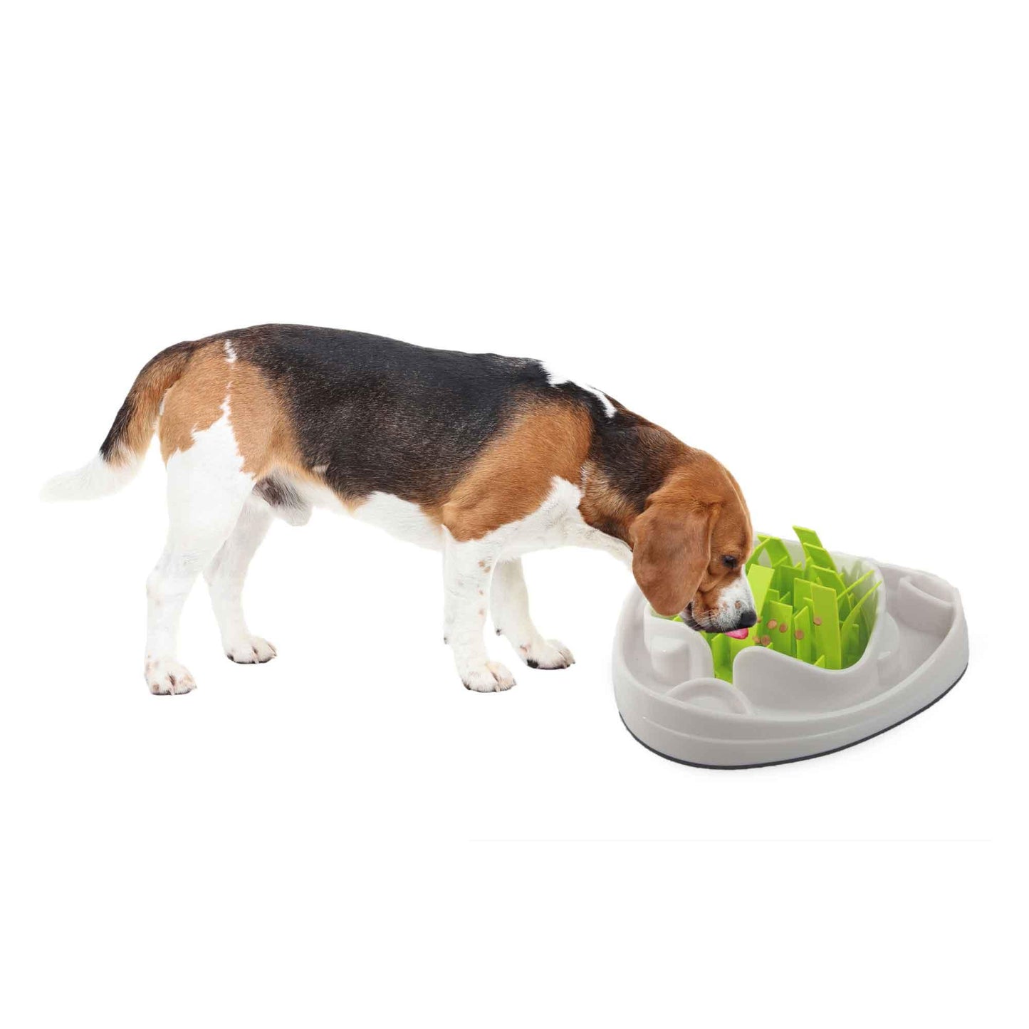 Dog Slow Feeder Bowl - Interactive Puzzle Anti Gulp Puppy Eating Maze AFP Pet - Mega Pet Store