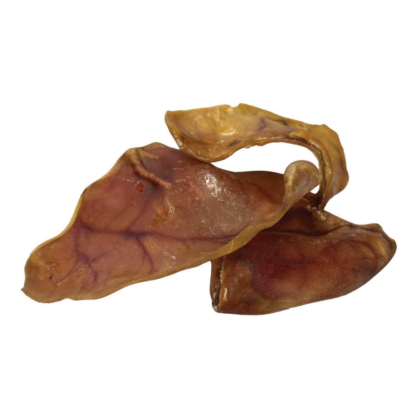 10x Dog Treat Large Pig Ears Whole - Dehydrated Australian Healthy Puppy Chew - Mega Pet Store