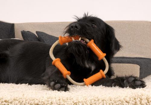 Major Dog Tussle Dummy - Large - Tug Toy - Mega Pet Store