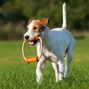 Major Dog Scuffle Dummy Large- Tug Toy - Mega Pet Store