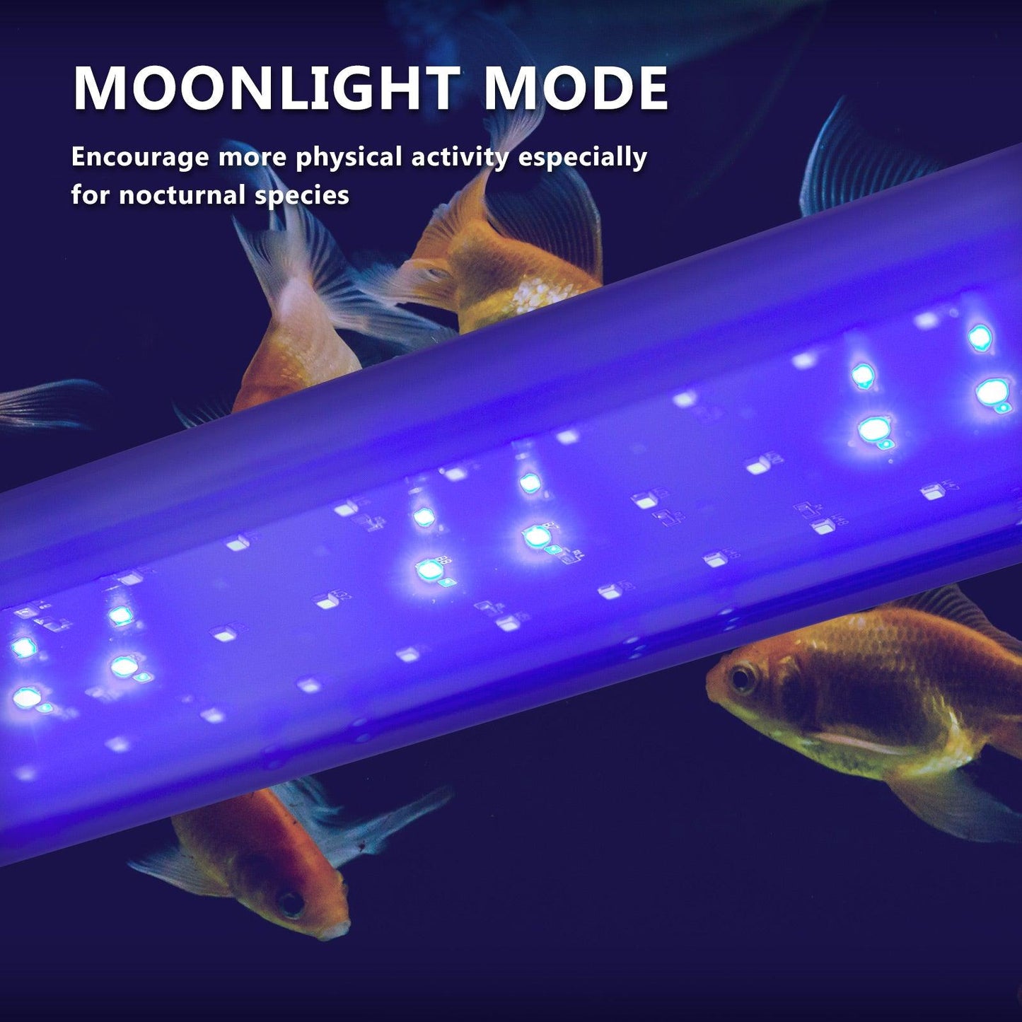 6W Set 2 Aquarium Blue White LED Light for Tank 30-50cm - Mega Pet Store
