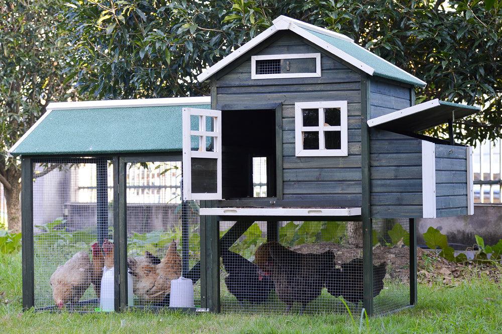YES4PETS XL Chicken Coop Rabbit Hutch Guinea Pig Cage Ferret House - Mega Pet Store