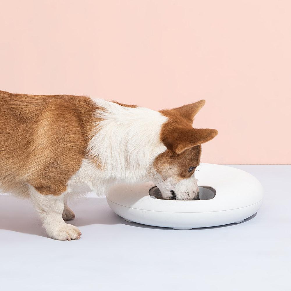 6 Meal Automatic Pet Dog Cat Food Feeder Dispenser with Programmable Timer Pink - Mega Pet Store