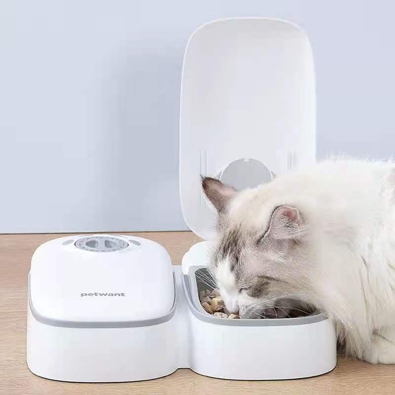 2 Meal Automatic Pet Food Feeder Timer for Dogs, Puppies & Cats - Mega Pet Store