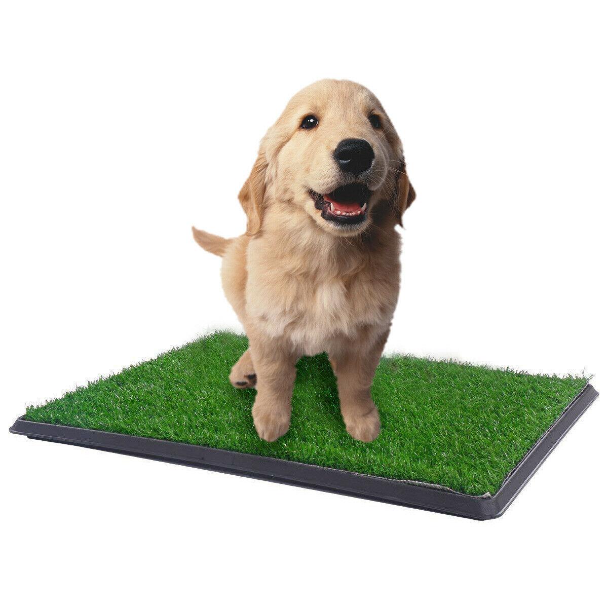 YES4PETS XL Indoor Dog Puppy Toilet Grass Training Mat Loo Pad Potty 76 X 51 cm - Mega Pet Store