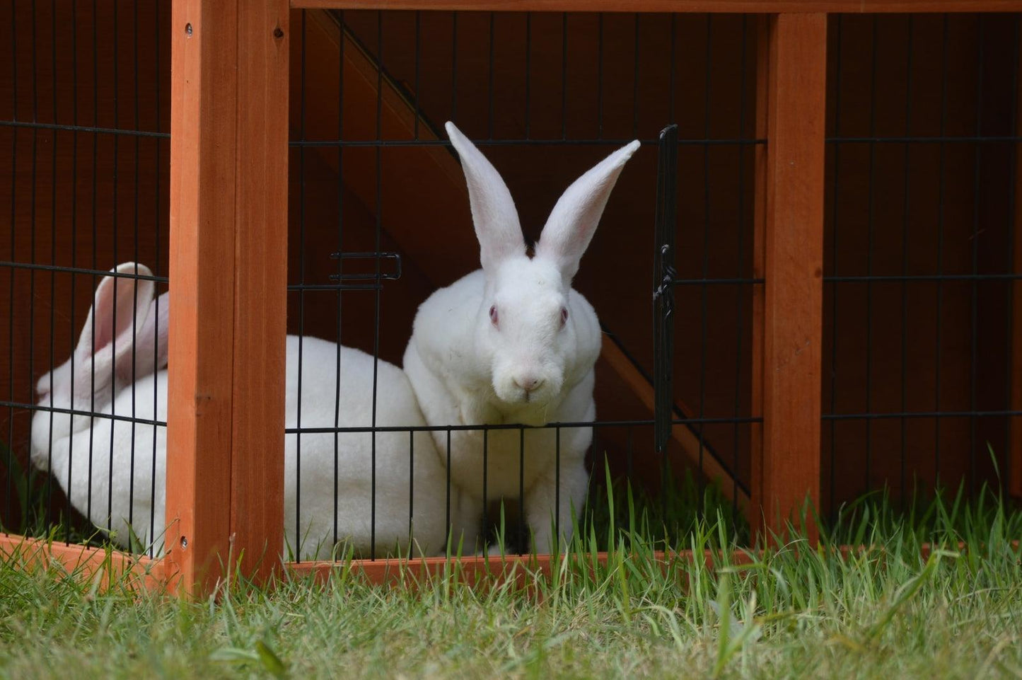 YES4PETS Double Storey Rabbit Hutch Guinea Pig Cage , Ferret cage W Pull Out Tray - Mega Pet Store
