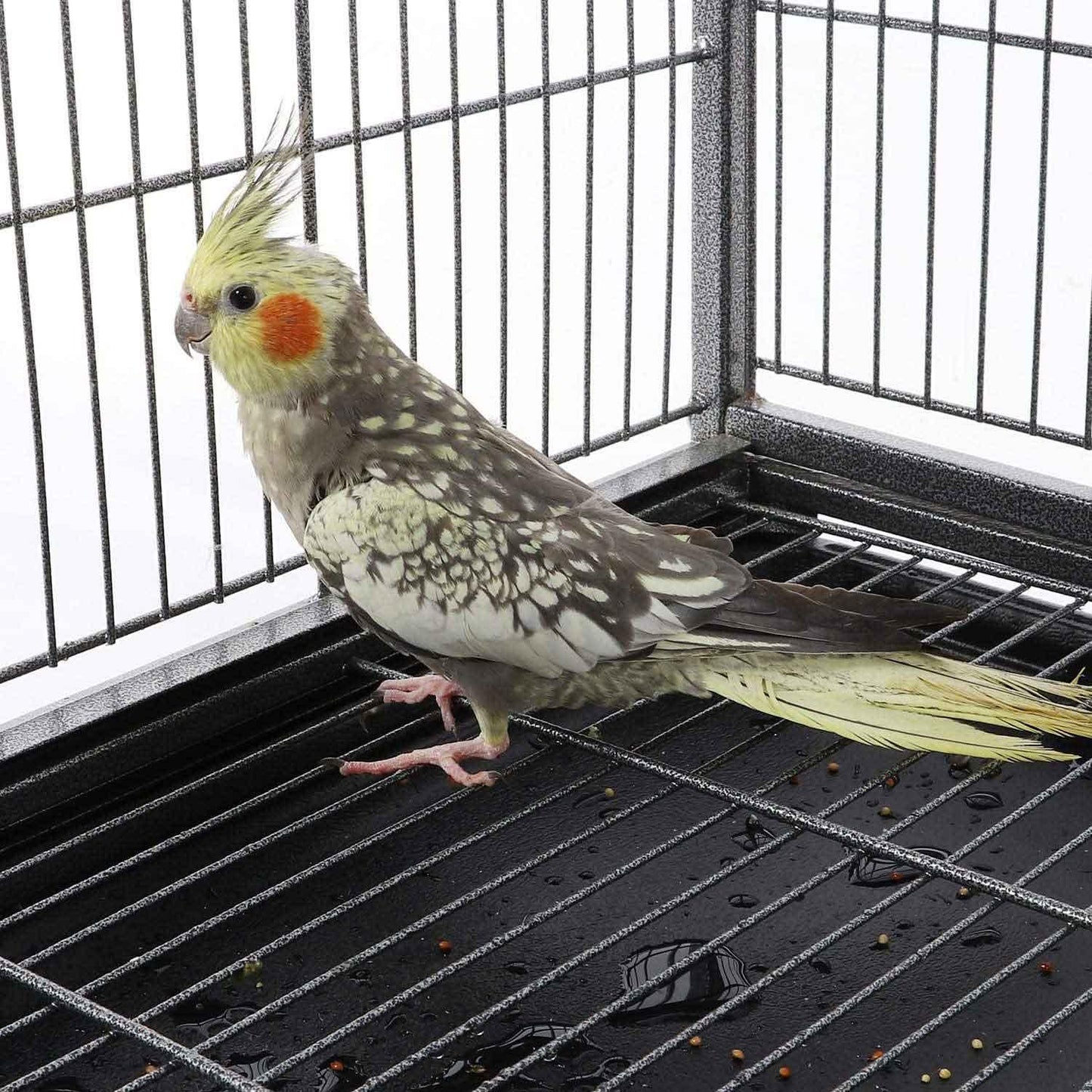 132cm Large Rolling Mobile Bird Cage Birdcage Finch Aviary Parrot Animals Playtop Stand Canary Finch - Mega Pet Store