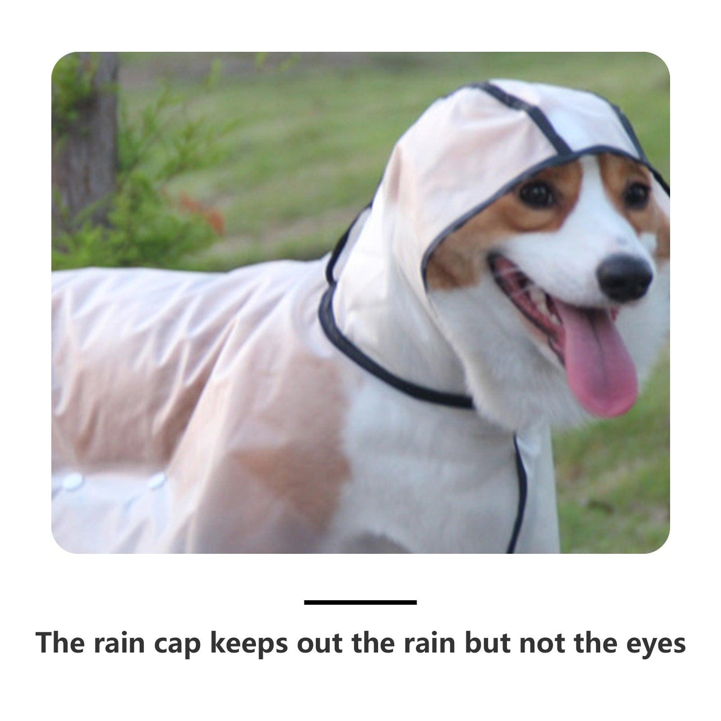 Pawfriends TPU Transparent Pet Cape Raincoat Large Dog Teddy Fado Koki Dog Dog Clothing L - Mega Pet Store