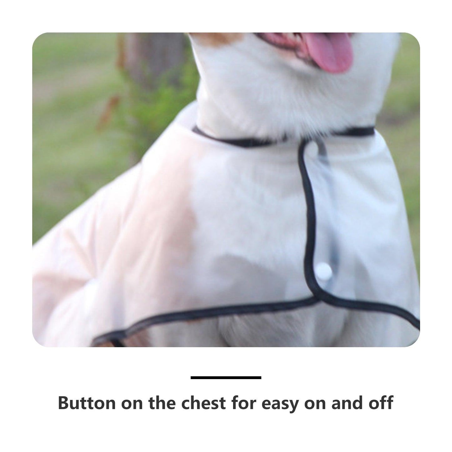 Pawfriends TPU Transparent Pet Cape Raincoat Large Dog Teddy Fado Koki Dog Dog Clothing L - Mega Pet Store