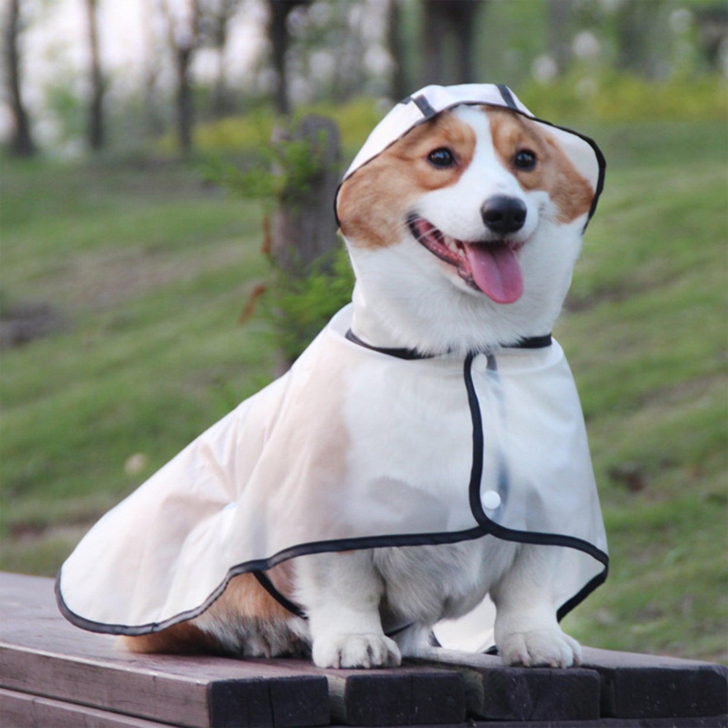 Pawfriends TPU Transparent Pet Cape Raincoat Large Dog Teddy Fado Koki Dog Dog Clothing L - Mega Pet Store