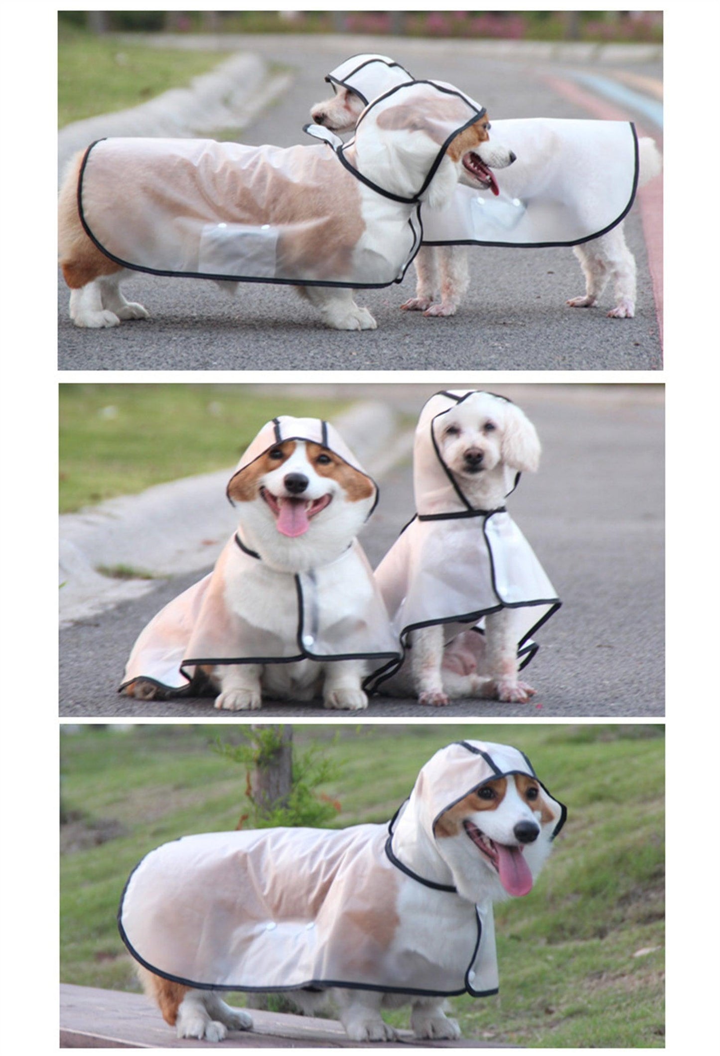 Pawfriends TPU Transparent Pet Cape Raincoat Large Dog Teddy Fado Koki Dog Dog Clothing L - Mega Pet Store