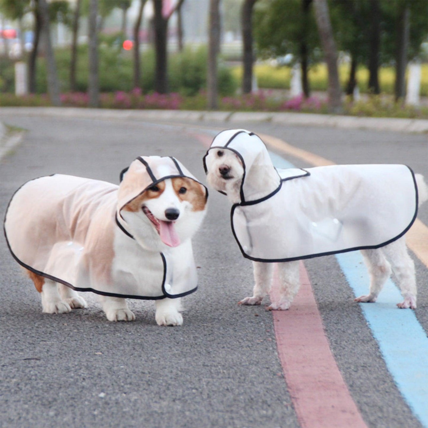 Pawfriends TPU Transparent Pet Cape Raincoat Large Dog Teddy Fado Koki Dog Dog Clothing L - Mega Pet Store