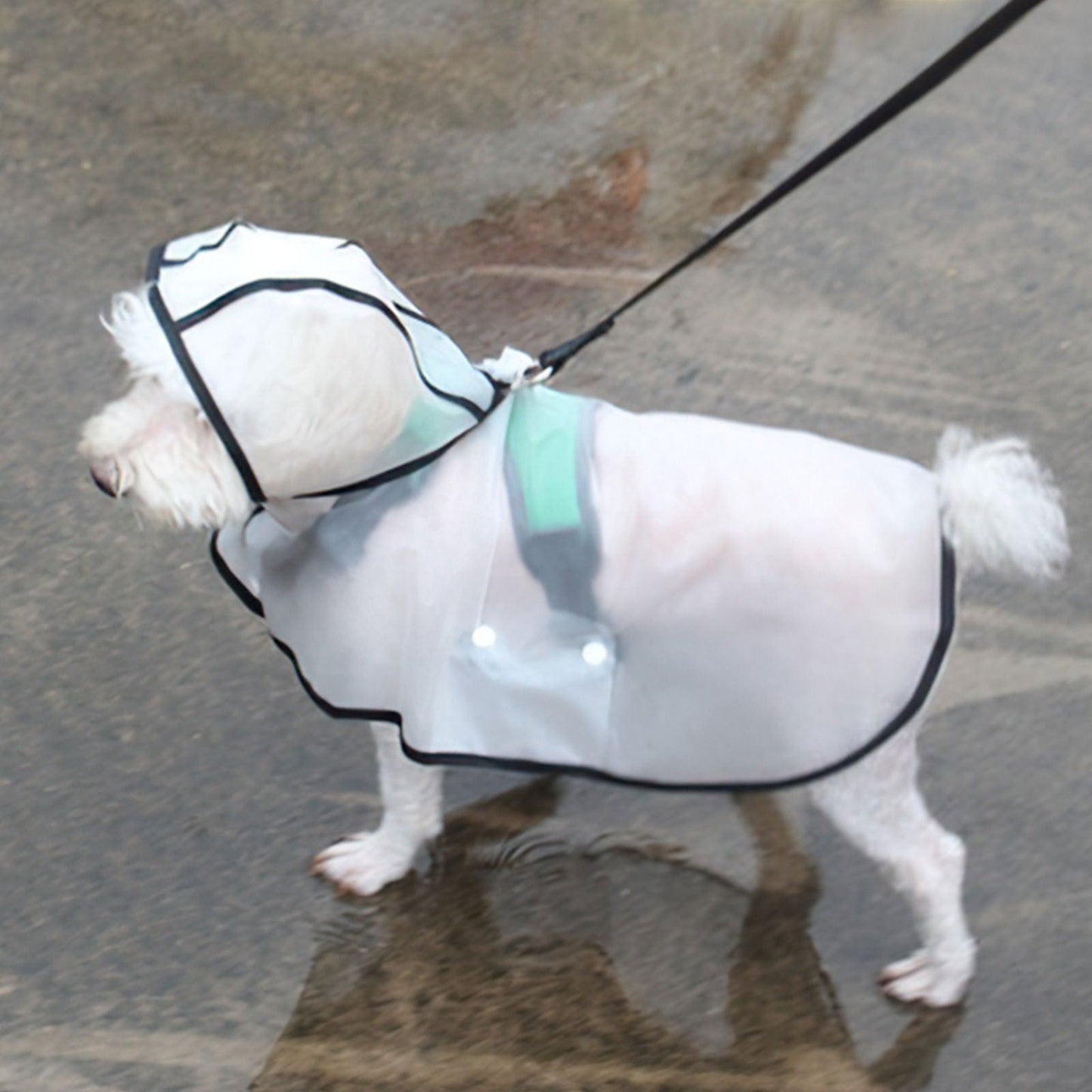 Pawfriends TPU Transparent Pet Cape Raincoat Large Dog Teddy Fado Koki Dog Dog Clothing L - Mega Pet Store