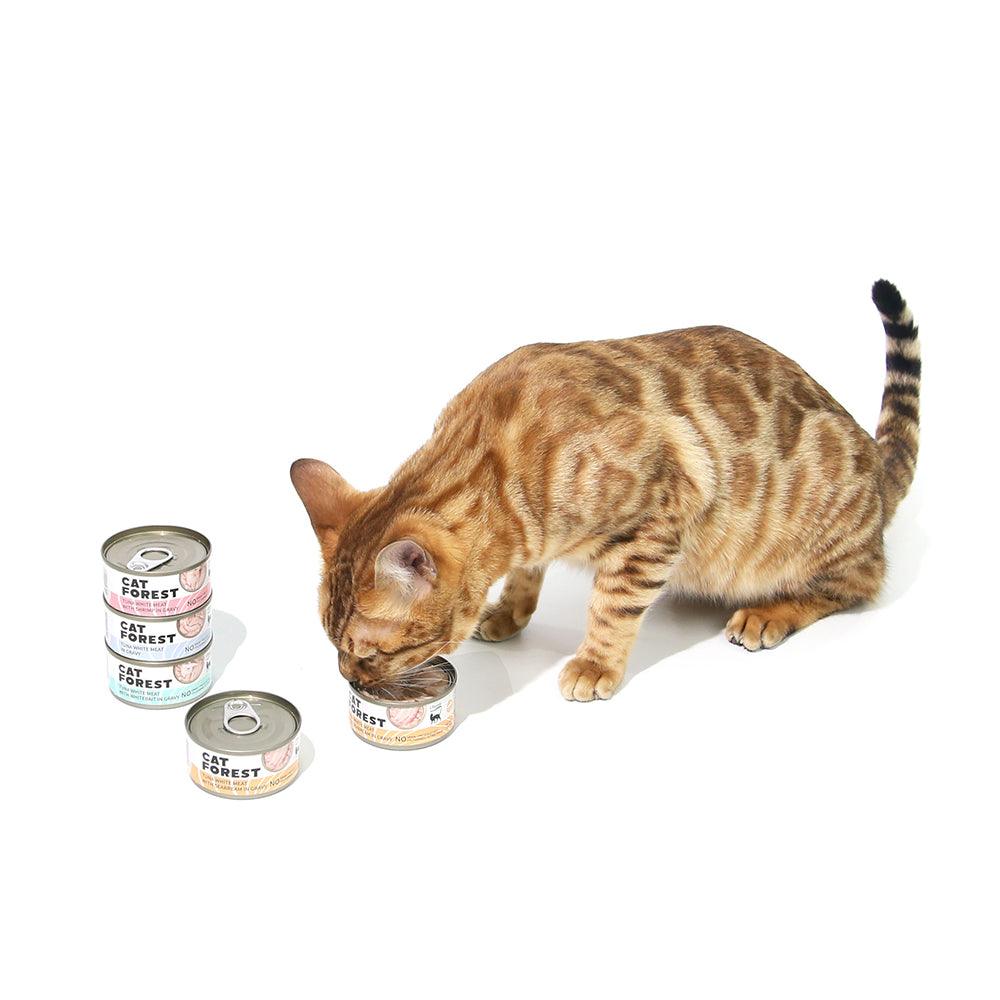 CAT FOREST Classic Tuna White Meat With Shrimp In Gravy Cat Canned Food 85G X 24 - Mega Pet Store