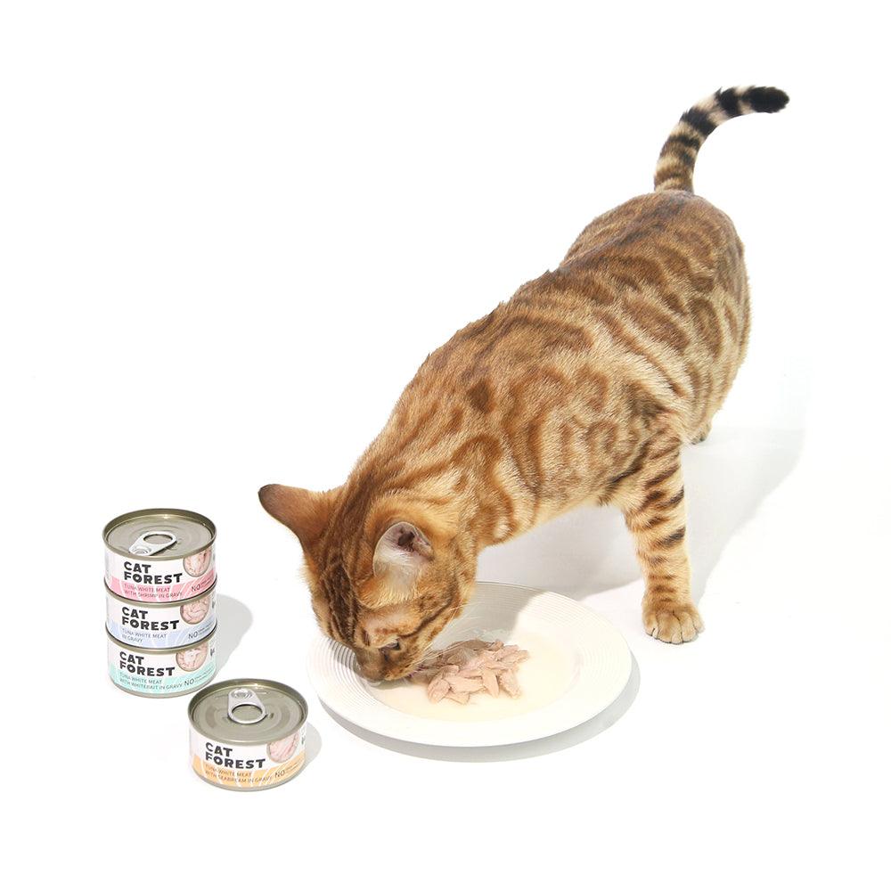 CAT FOREST Classic Tuna White Meat With Shrimp In Gravy Cat Canned Food 85G X 24 - Mega Pet Store