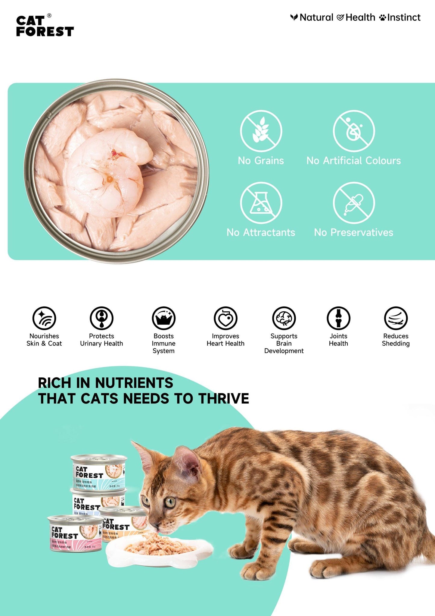 CAT FOREST Classic Tuna White Meat With Shrimp In Gravy Cat Canned Food 85G X 24 - Mega Pet Store