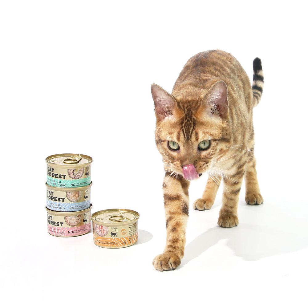 CAT FOREST Premium Tuna White Meat With Chicken In Jelly Cat Canned Food 85G X 24 - Mega Pet Store