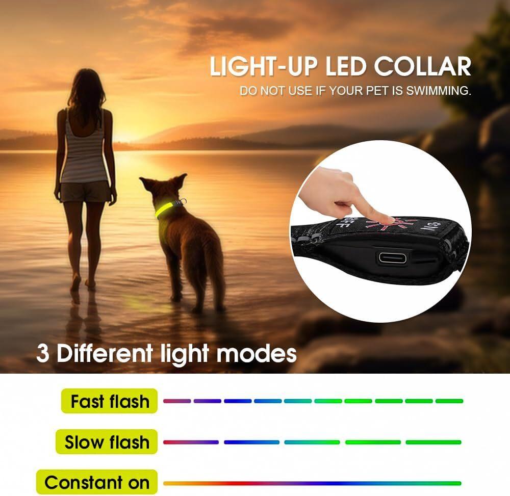 LED Dog Cat Collar USB Rechargeable Nylon Glow Flashing Light Up Safety Puppy - Mega Pet Store