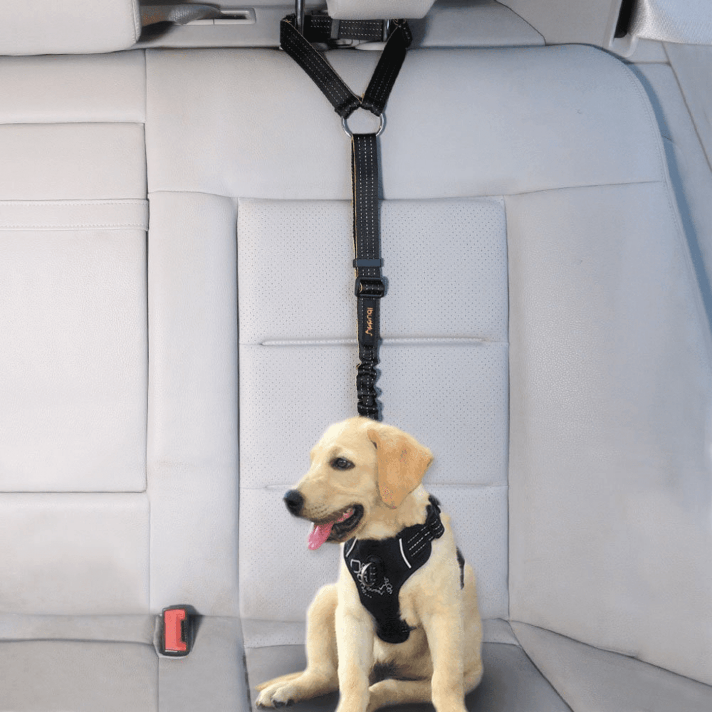 iBuddy Dog Seat Belt for Cars, Headrest Restraint with Locking Carabiner - Mega Pet Store