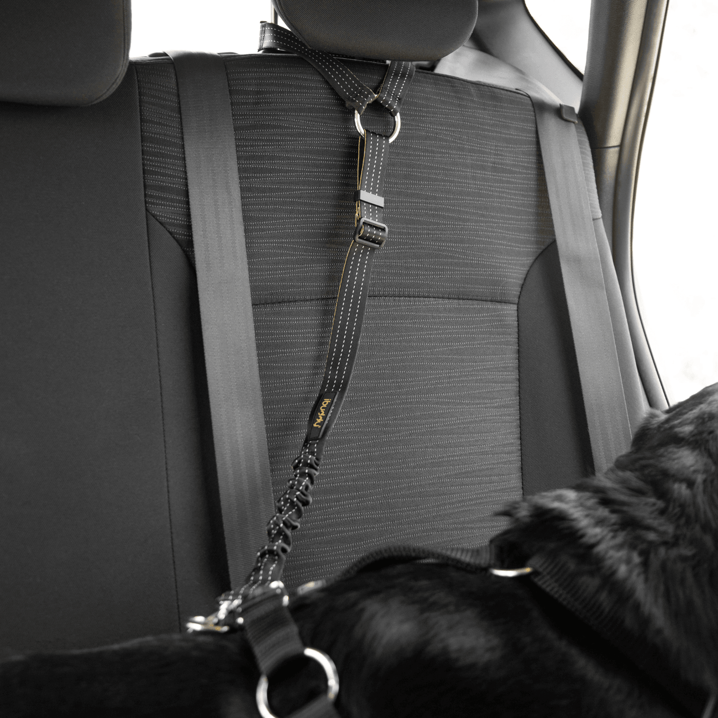 iBuddy Dog Seat Belt for Cars, Headrest Restraint with Locking Carabiner - Mega Pet Store