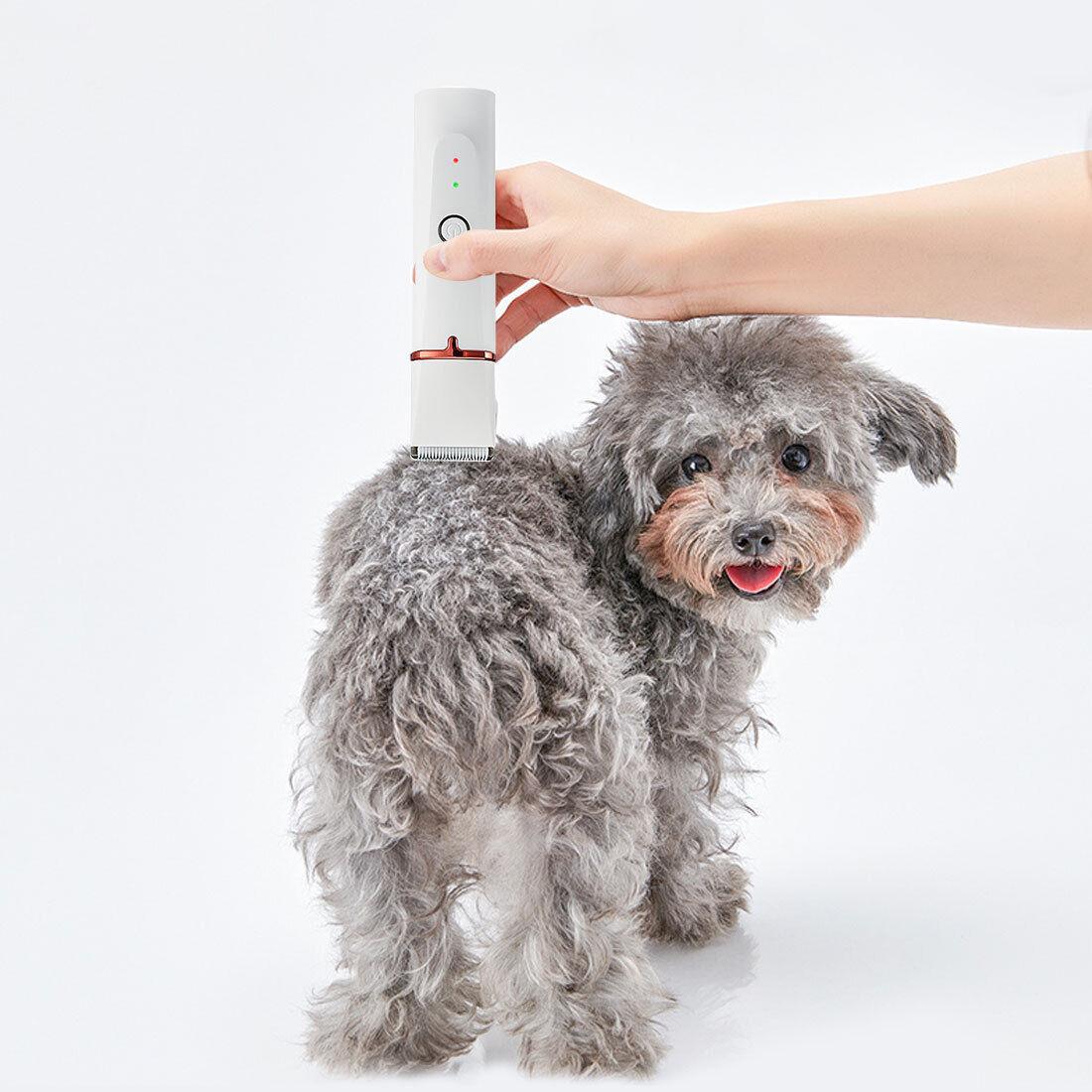 Pet Electric Trimmer Kit Hair Clipper Rabbit Grooming Shaver Fur Haircut Dog Cat - Mega Pet Store