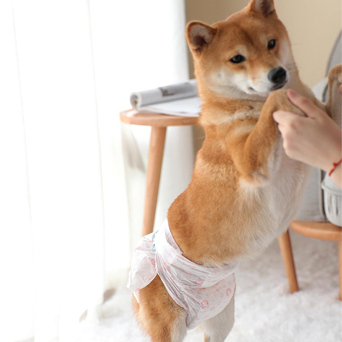 Ondoing Pet Disposable Diapers Dog Puppy Nappy Hygienic Male Female Wraps Toilet Trainer - Mega Pet Store