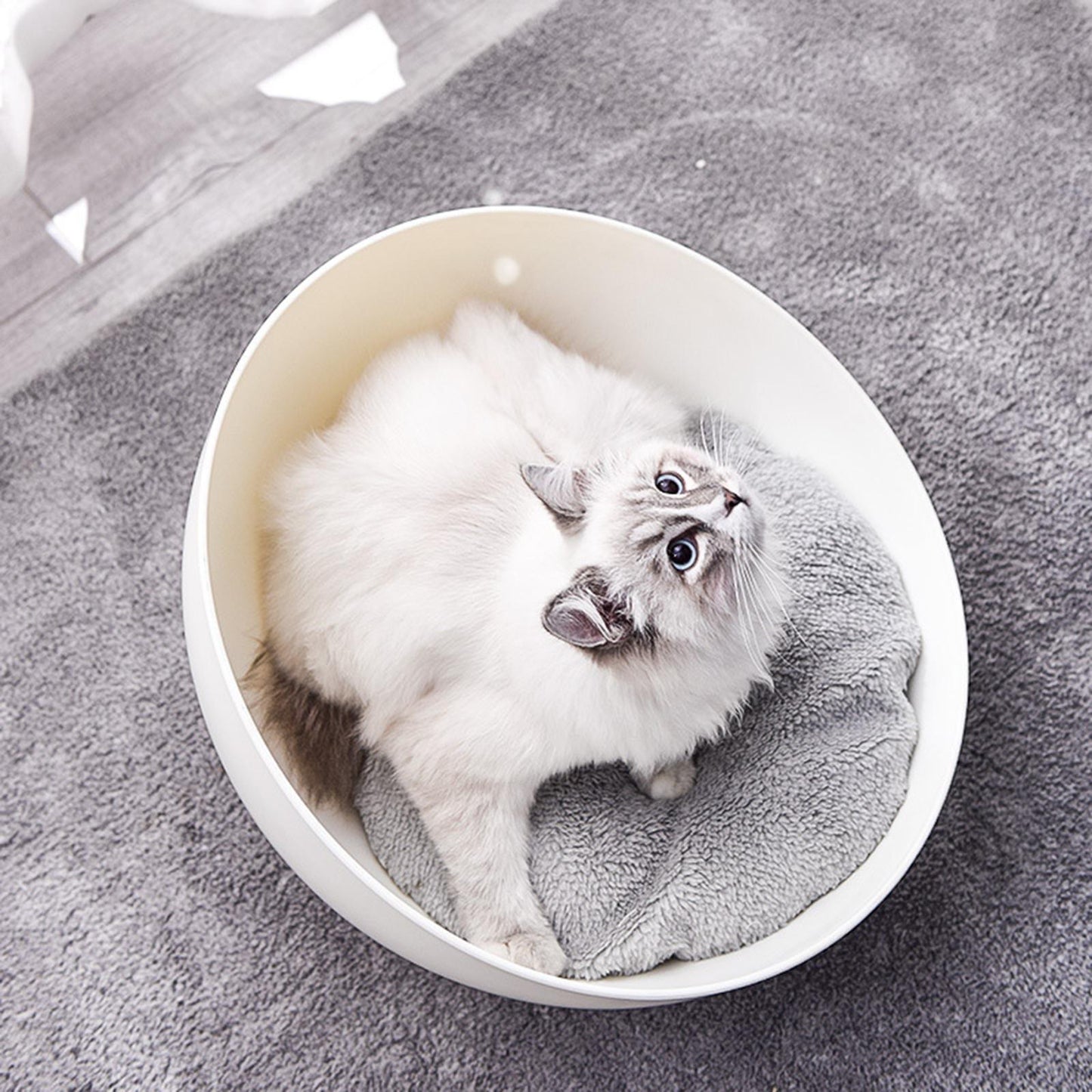 Cat Sphere Bed Nest - Mega Pet Store