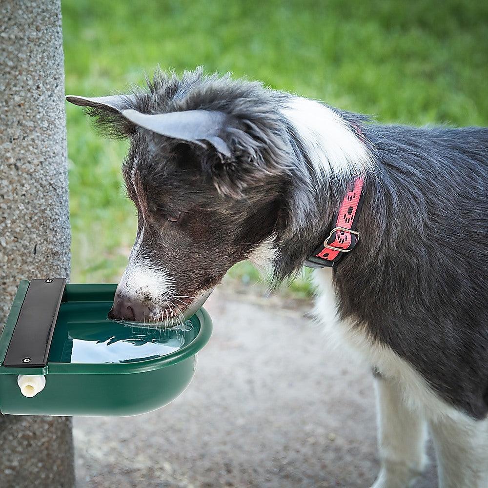 4L Water Trough Bowl with Automatic Float Valve - Mega Pet Store