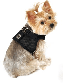 Vest Harness Pet Dog-Cat Step-in Velcro and Buckle Attachments - Moondidley Pets X-Large Black - Mega Pet Store