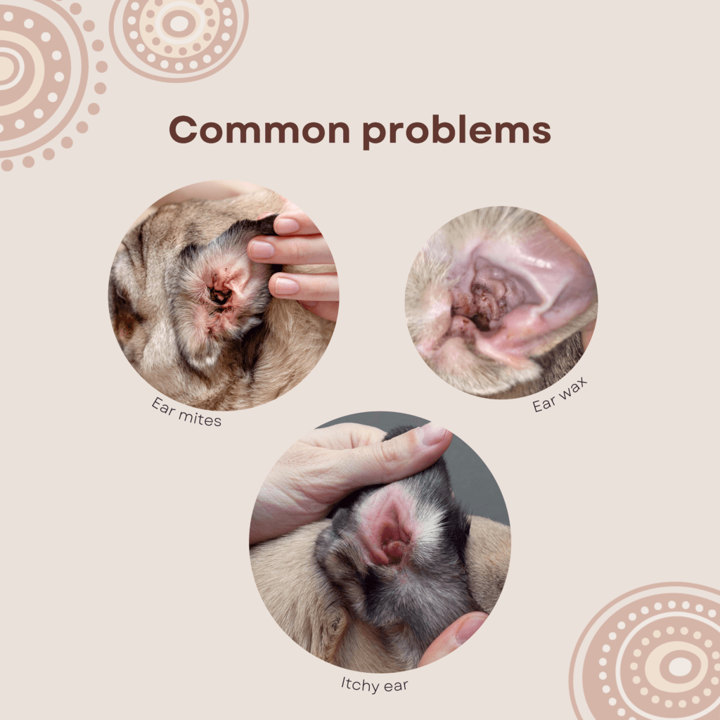 Goomaroo Ear Care Solution 120ml - Mega Pet Store