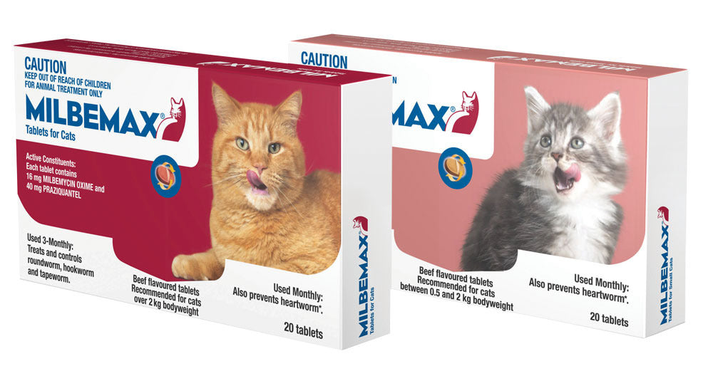 Milbemax All Wormer for Large Cats over 2kg