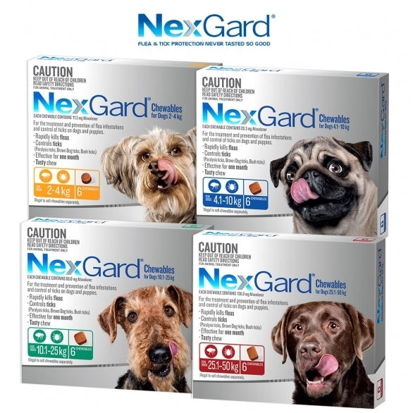 NexGard Chewable Tablets for Dogs (10.1-25Kg) - Green 6 chews