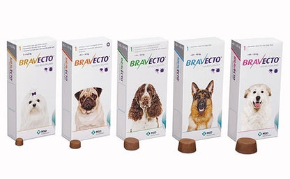 Bravecto Flea & Tick Control Single Chew for Dogs