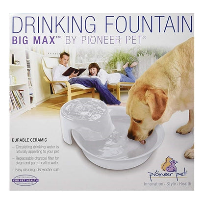 Pioneer Pet Fung Shui Plastic Drinking Fountain