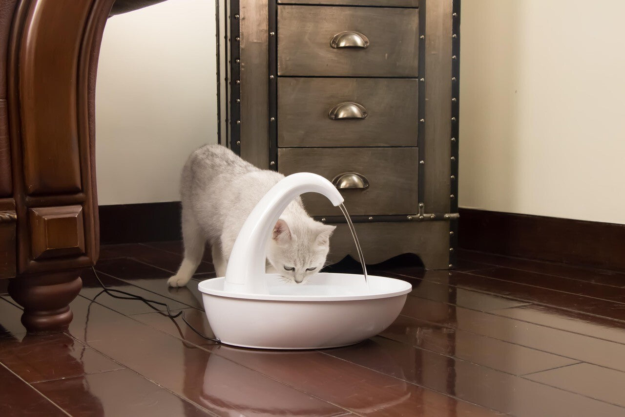 Pioneer Pet Swan Drinking Water Fountain for Cats & Dogs 2.3 L